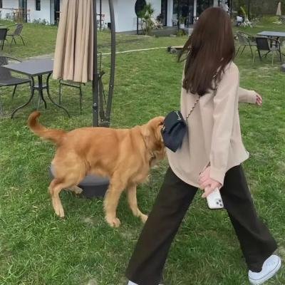 那些令人极其不快的帽子